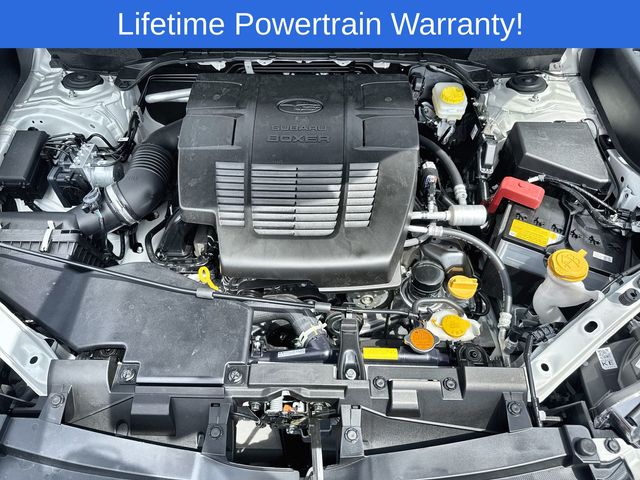 Thumbnail: 2025 Subaru Forester - 9