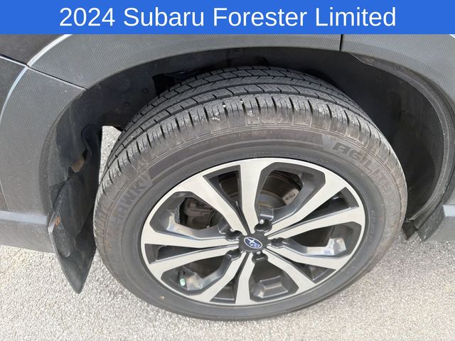 Thumbnail: 2024 Subaru Forester - 4