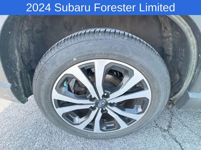 Thumbnail: 2024 Subaru Forester - 8