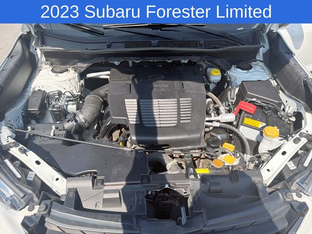 Thumbnail: 2023 Subaru Forester - 8