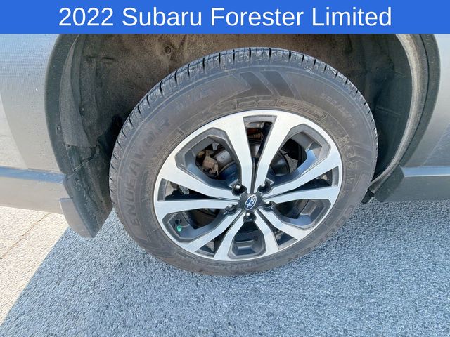 Thumbnail: 2022 Subaru Forester - 8