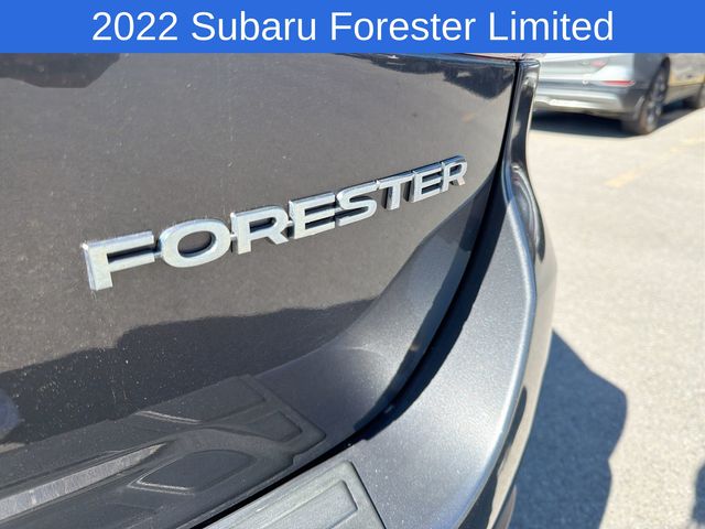 Thumbnail: 2022 Subaru Forester - 7