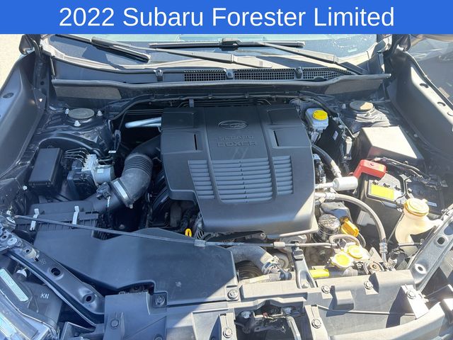 Thumbnail: 2022 Subaru Forester - 9