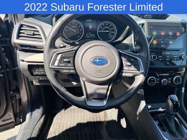 Thumbnail: 2022 Subaru Forester - 10