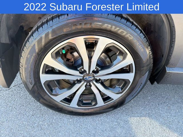 Thumbnail: 2022 Subaru Forester - 8