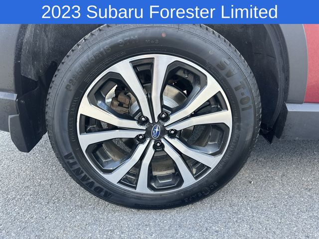 Thumbnail: 2023 Subaru Forester - 8