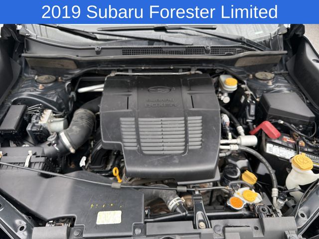 Thumbnail: 2019 Subaru Forester - 9