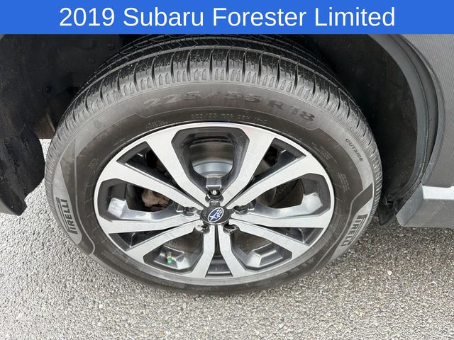 Thumbnail: 2019 Subaru Forester - 8