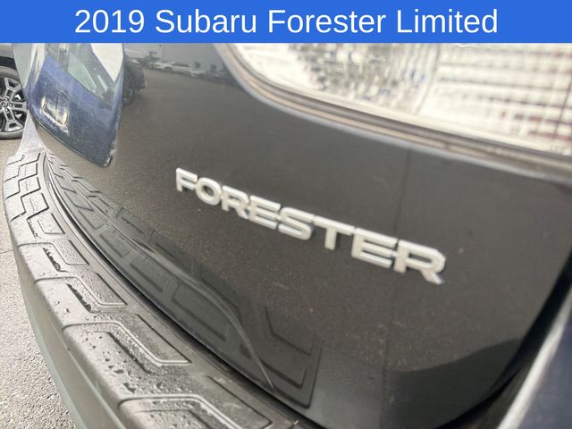 Thumbnail: 2019 Subaru Forester - 7