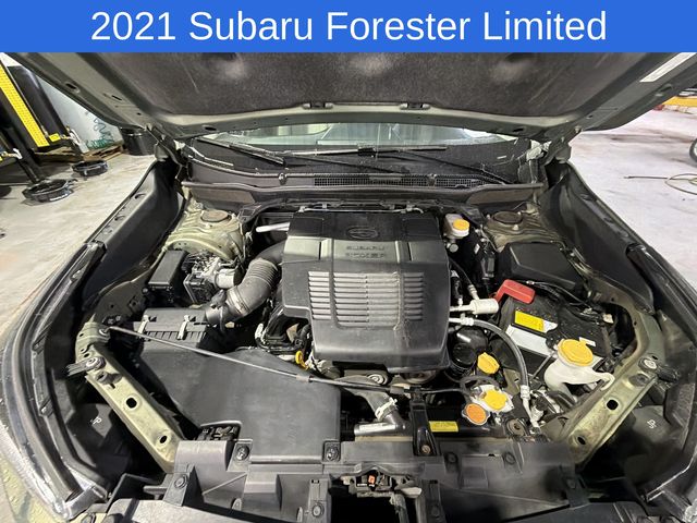 Thumbnail: 2021 Subaru Forester - 8