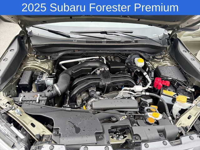 Thumbnail: 2025 Subaru Forester - 9