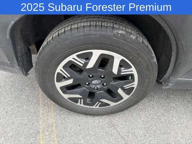 Thumbnail: 2025 Subaru Forester - 22