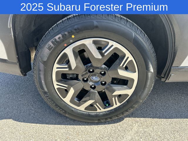 Thumbnail: 2025 Subaru Forester - 6
