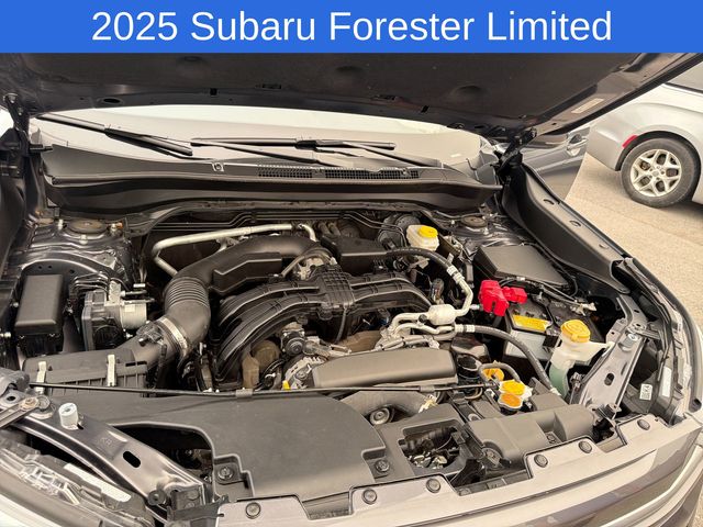 Thumbnail: 2025 Subaru Forester - 9