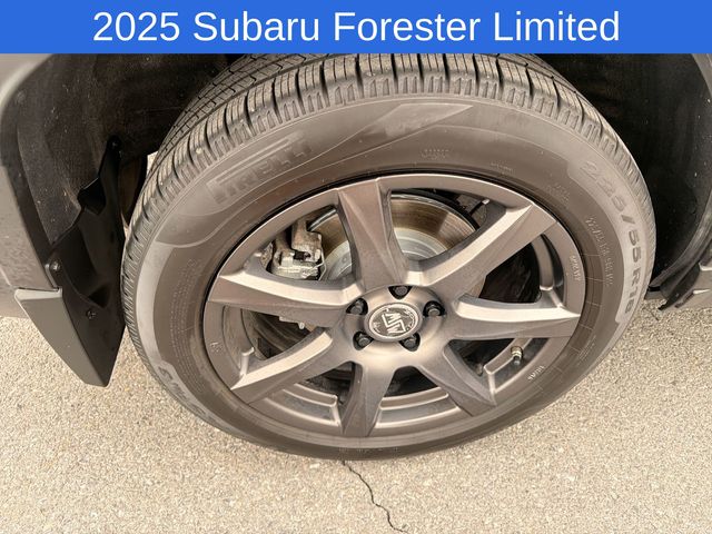 Thumbnail: 2025 Subaru Forester - 8