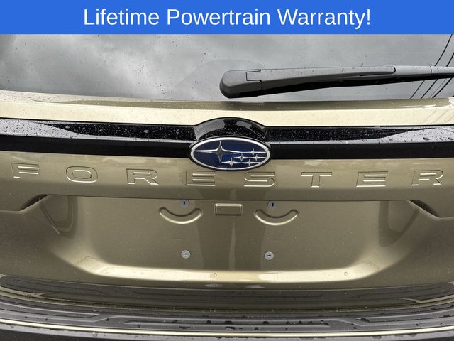 Thumbnail: 2025 Subaru Forester - 7