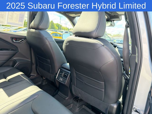 Thumbnail: 2025 Subaru Forester - 12