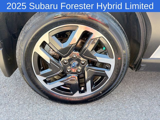 Thumbnail: 2025 Subaru Forester - 7