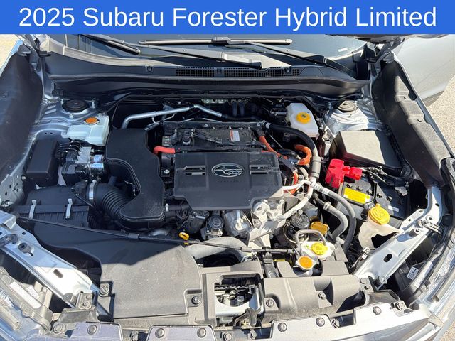 Thumbnail: 2025 Subaru Forester - 8