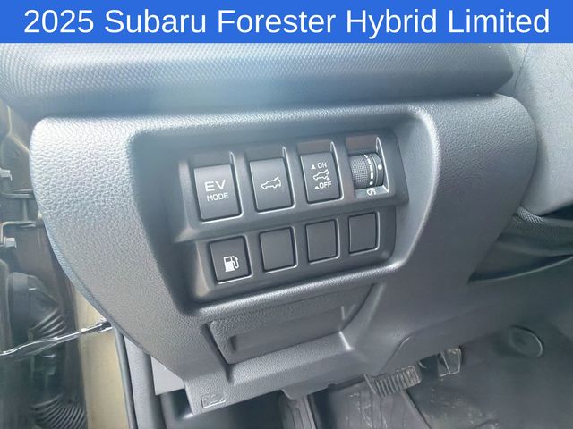 Thumbnail: 2025 Subaru Forester - 19