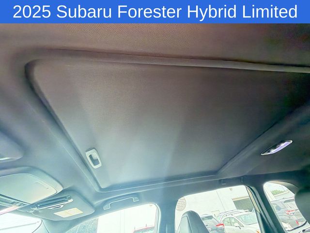 Thumbnail: 2025 Subaru Forester - 22