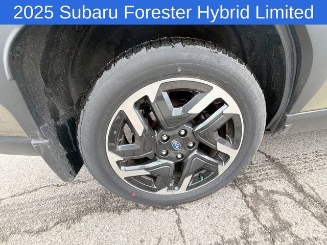 Thumbnail: 2025 Subaru Forester - 7
