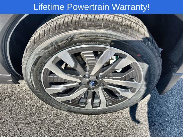 Thumbnail: 2025 Subaru Forester - 8