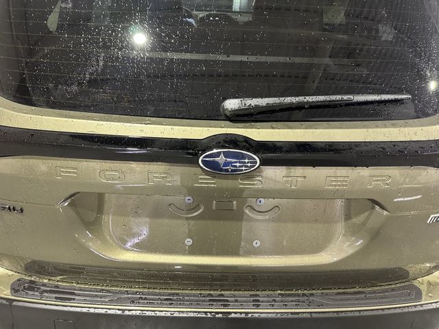 Thumbnail: 2025 Subaru Forester - 7