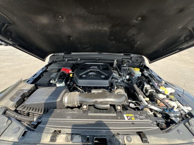 Thumbnail: 2019 Jeep Wrangler - 9