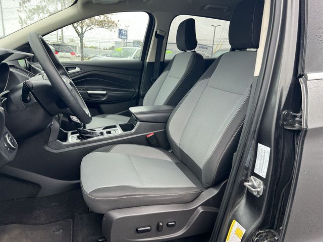 Thumbnail: 2019 Ford Escape - 11