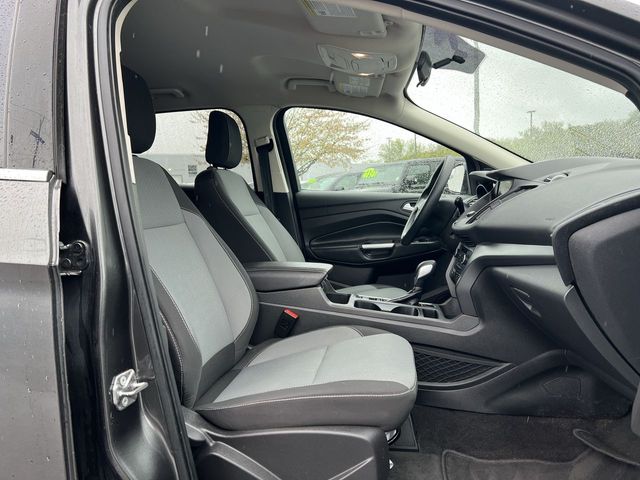 Thumbnail: 2019 Ford Escape - 12