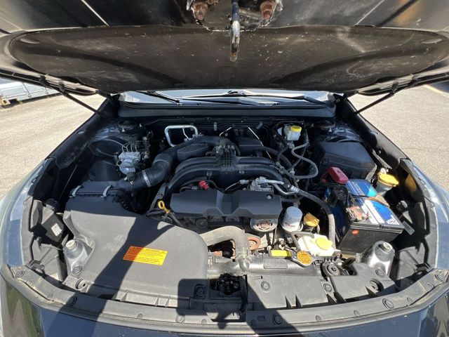 Thumbnail: 2019 Subaru Outback - 9