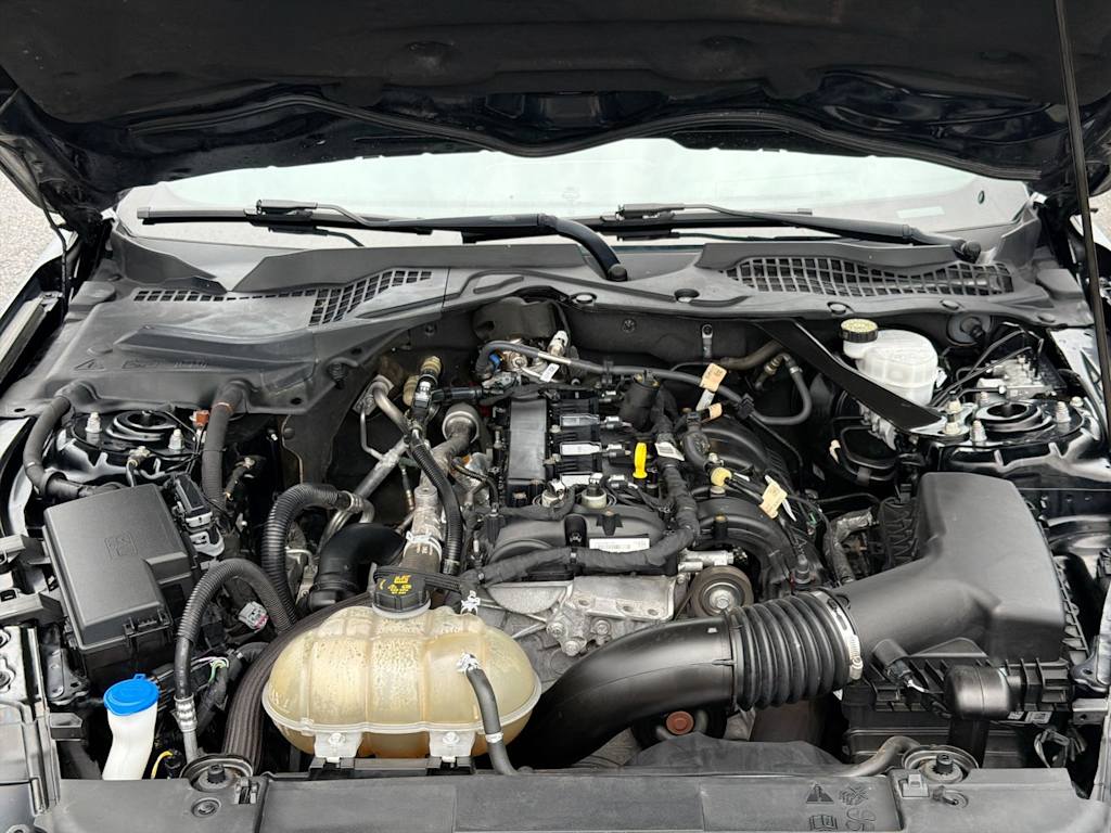 Thumbnail: 2021 Ford Mustang - 7