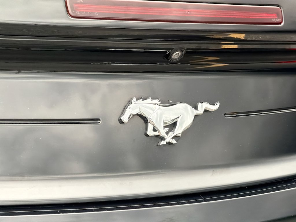 Thumbnail: 2021 Ford Mustang - 25