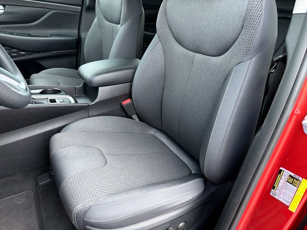 Thumbnail: 2019 Hyundai Santa Fe - 10
