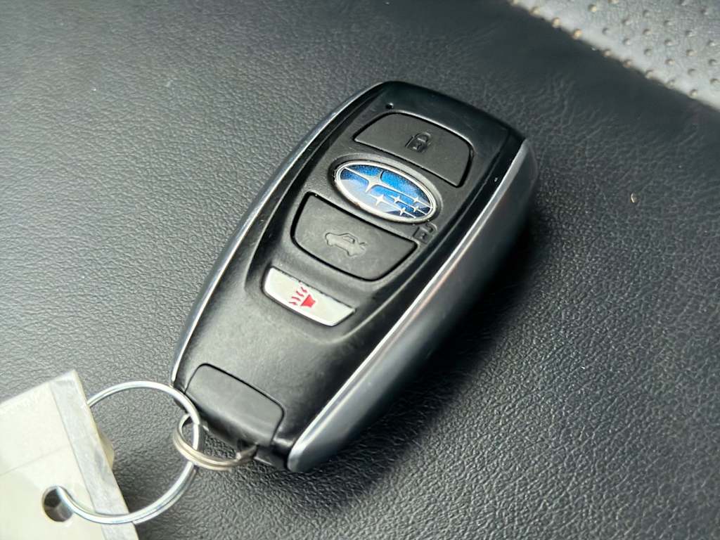 Thumbnail: 2019 Subaru Crosstrek - 19
