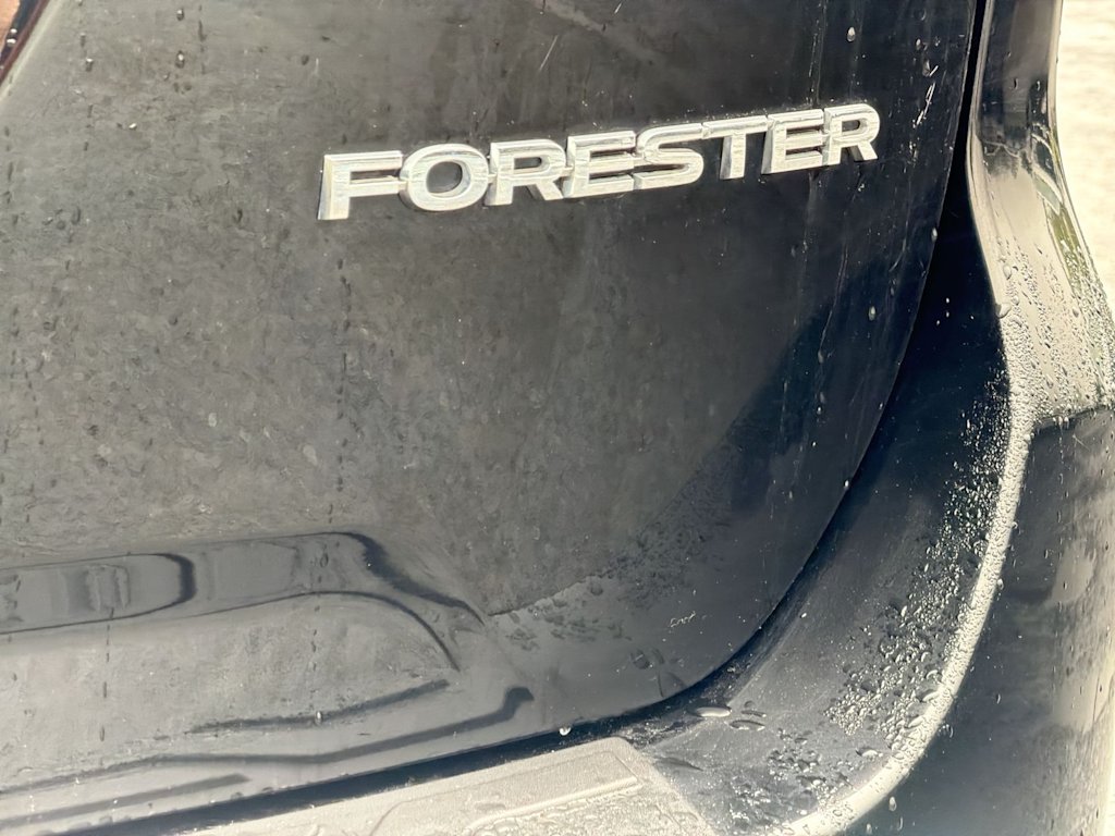 Thumbnail: 2020 Subaru Forester - 26