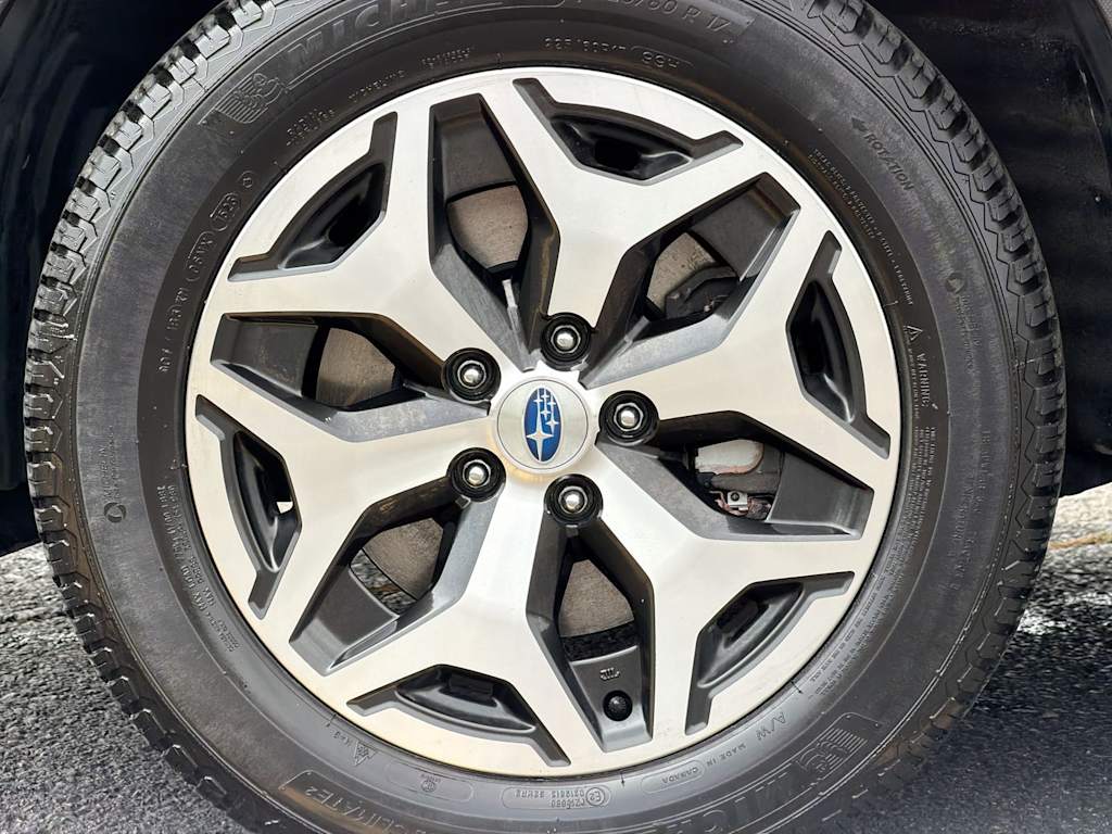 Thumbnail: 2019 Subaru Forester - 7