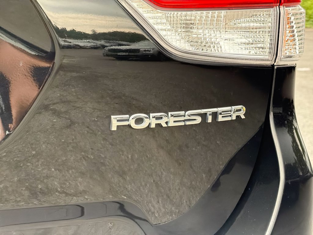 Thumbnail: 2019 Subaru Forester - 25