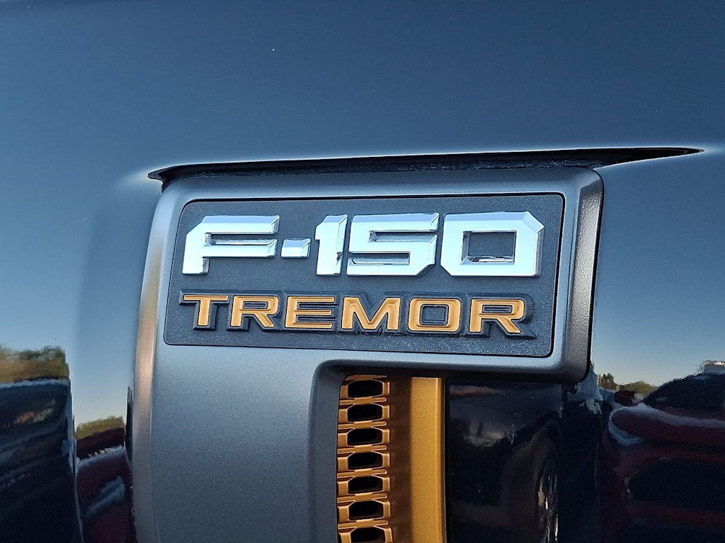 Thumbnail: 2024 Ford F-150 - 32