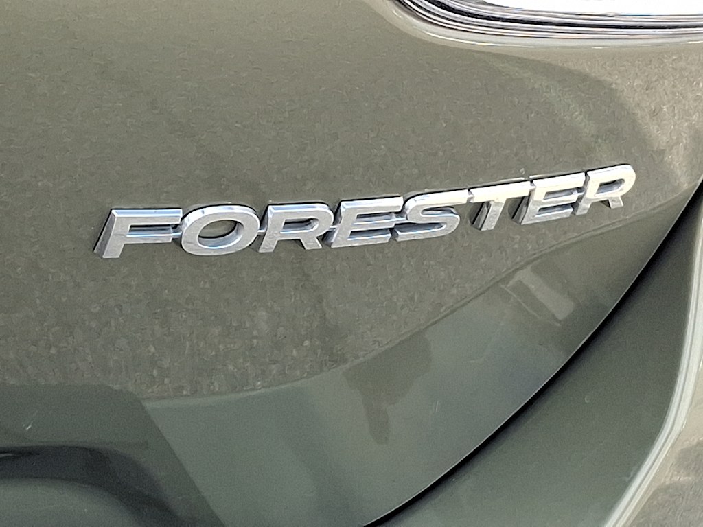 Thumbnail: 2019 Subaru Forester - 30