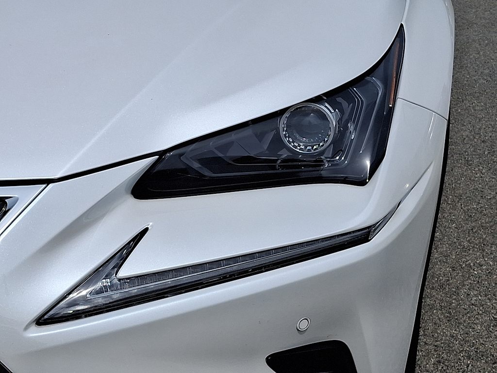 2021 Lexus NX 300 19