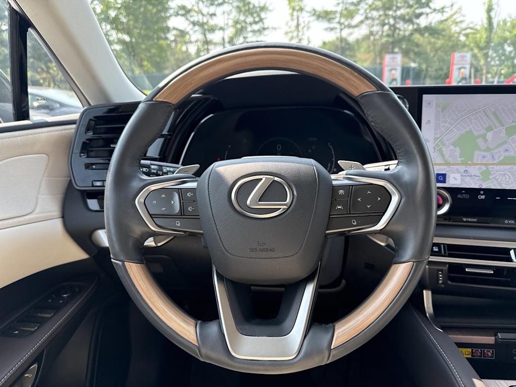 Thumbnail: 2024 Lexus RX - 12