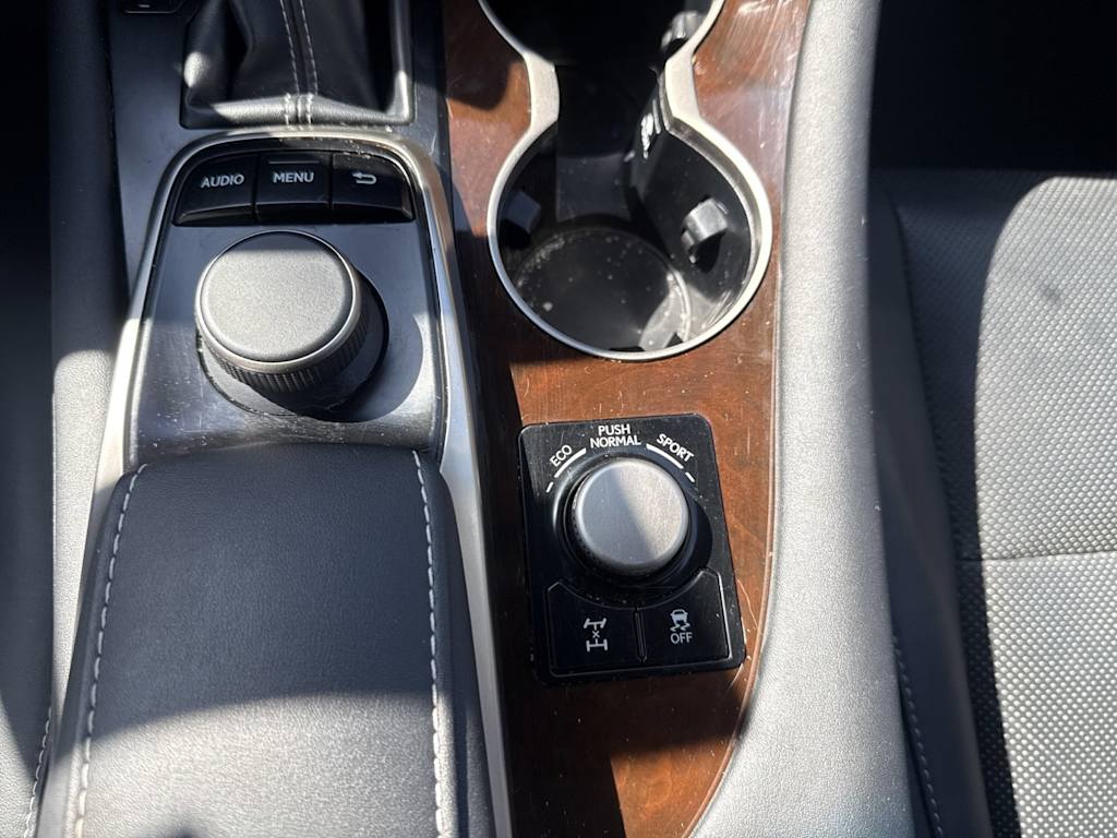 Thumbnail: 2019 Lexus RX - 15