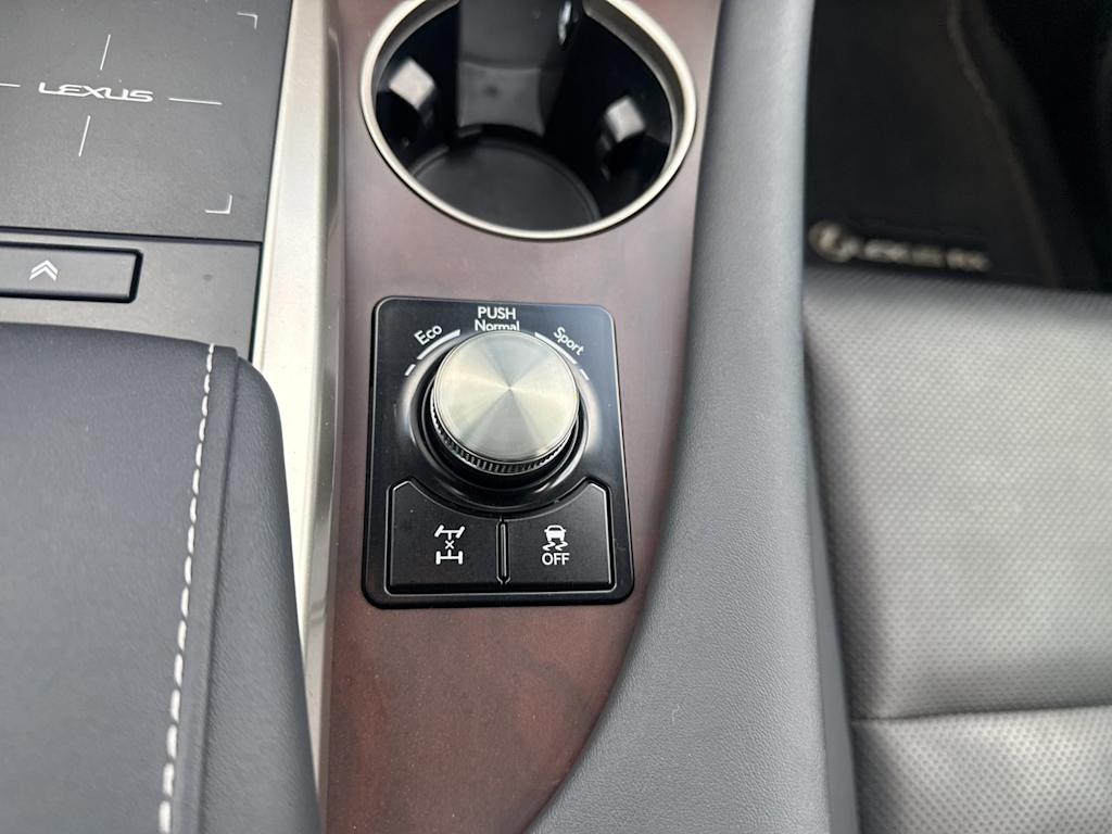 Thumbnail: 2020 Lexus RX - 24