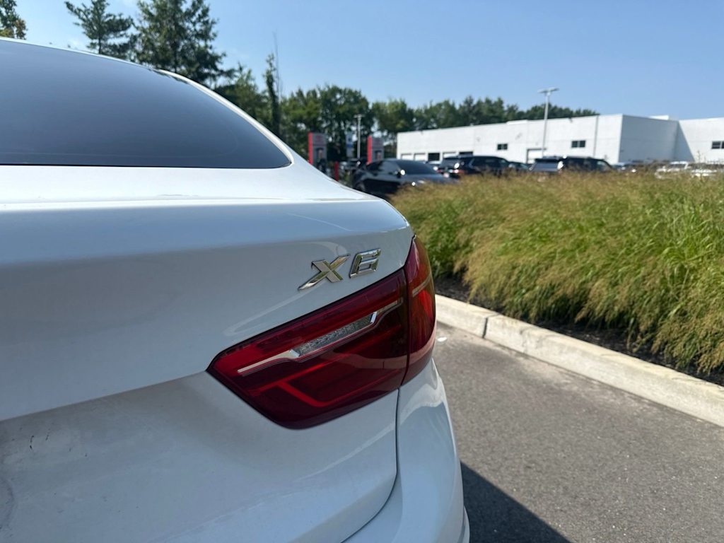 Thumbnail: 2016 BMW X6 - 18