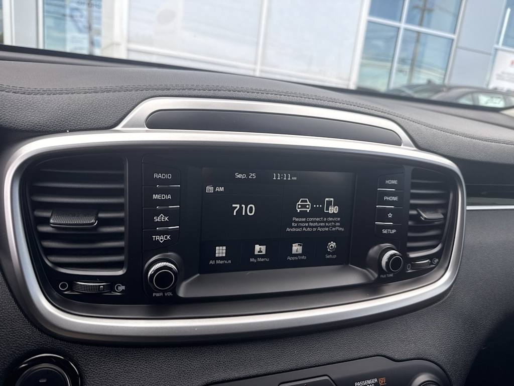 Thumbnail: 2020 Kia Sorento - 10