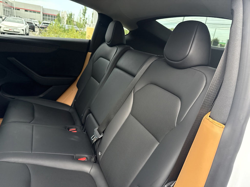Thumbnail: 2026 Tesla Model Y - 10