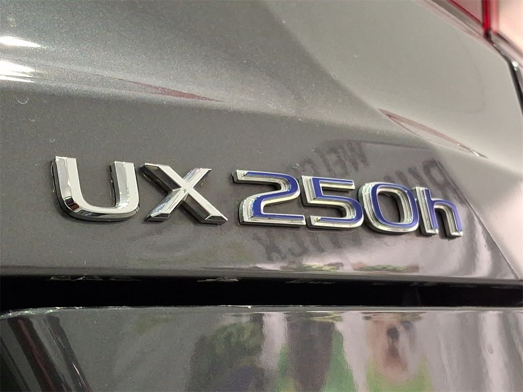 2022 Lexus UX 250h 33