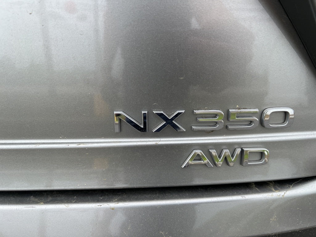 2022 Lexus NX 350 4